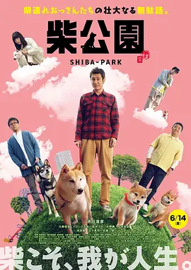 91精品免费不卡在线观看