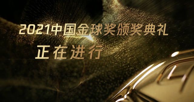 刺激视频h
