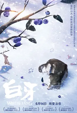处女座的疯狂