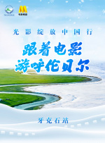 蛋白质娃娃