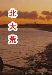 国产免费一区二区三区在线观看