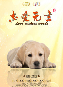 那天晚上我梦见