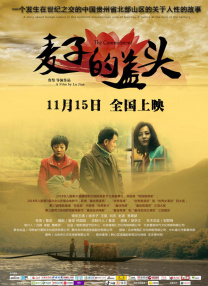 提手旁一个最