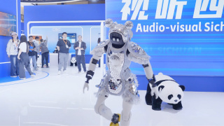 国产精品18久久久久网站